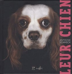 Leur chien