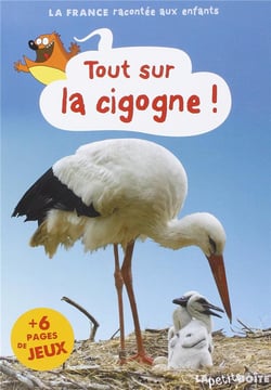 Tout sur la cigogne !