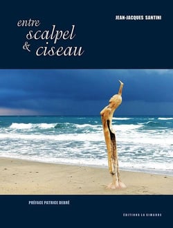 Entre scalpel et ciseau