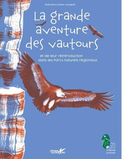 La grande aventure des vautours et de leur réintroduction dans les Parcs naturels régionaux