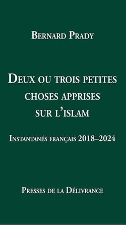 Deux ou trois petites choses apprises sur l'islam : Instantanés français 2018-2024