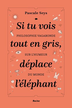 Si tu vois tout en gris, deplace l'éléphant - philosophie vagabonde sur l'humeur du monde