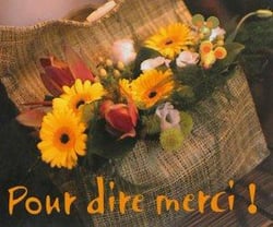 Mp135 - pour dire merci