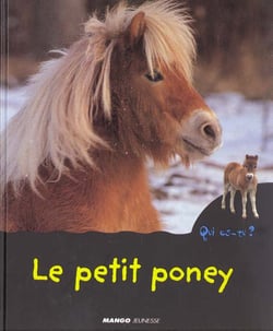 Le petit poney