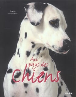 Au pays des chiens
