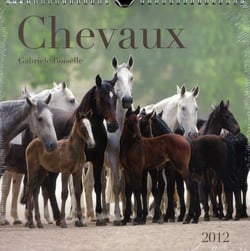 Chevaux 2012 - le calendrier