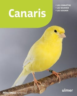Canaris - les connaître, les nourrir, les soigner