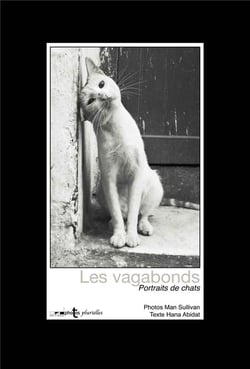 Les vagabonds - portraits de chats