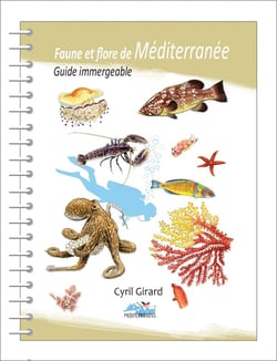 Faune et flore de Méditerranée