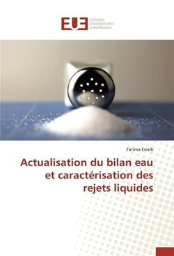 Actualisation du bilan eau et caracterisation des rejets liquides
