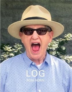 Roni Horn : log