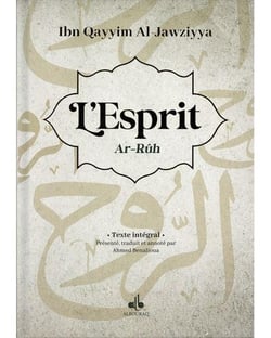 Le livre de l'esprit