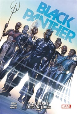 Black Panther Tome 2 : la guerre des pâtures