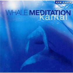 Whale meditation