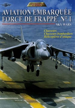 Aviation embarquéeé : Force de frappe n°1