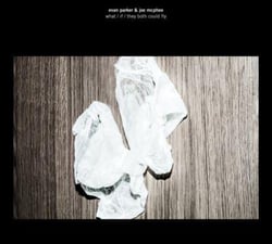 What / If / they could both fly - Vinyle
