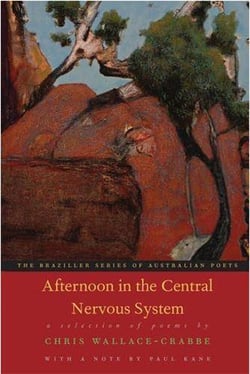 Afternoon in the central nervous system