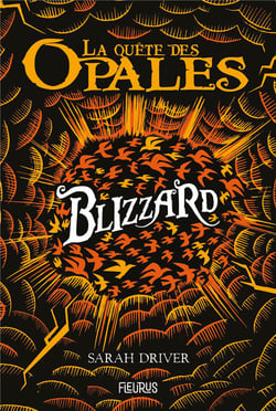 La quête des opales Tome 2 : blizzard