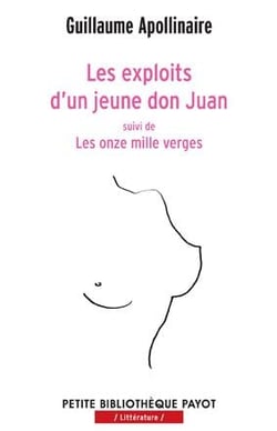Les exploits d'un jeune don juan - les onze mille verges