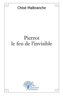 Pierrot le feu de l'invisible