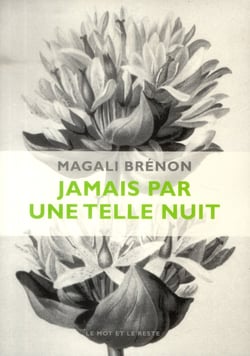 Jamais par une telle nuit