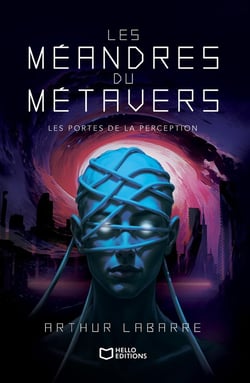 Les Méandres du Métavers Tome 1 : Les Portes de la perception