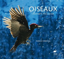 Oiseaux - instants magiques