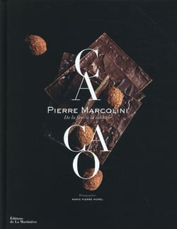 Cacao - de la fève à la tablette