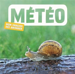 Mon imagier des animaux - météo