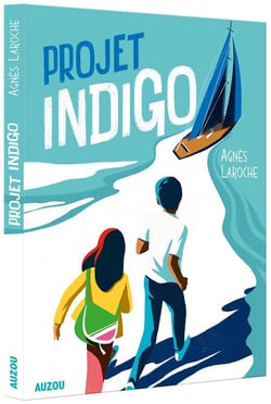 Projet indigo