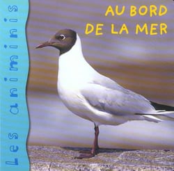 Au bord de la mer