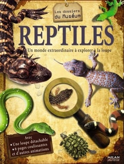 Reptiles - un monde extraordinaire à explorer à la loupe