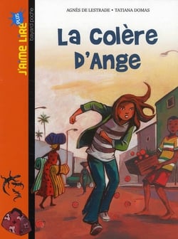 Colère d'ange  t.20