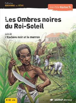 Les ombres noires du Roi-Soleil - l'esclave noir et le marron