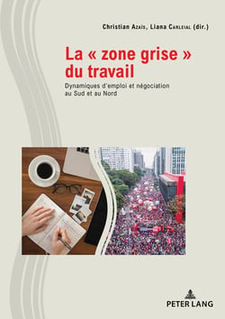 La « zone grise » du travail : Dynamiques d'emploi et négociation au Sud et au Nord