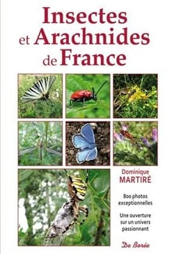 Insectes et arachnidés de France