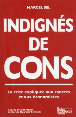 Indignés de cons - la crise expliquée à ceux qui n'y comprennent plus rien et aux économistes