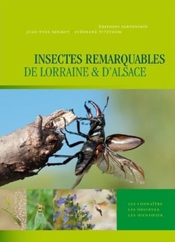 Insectes remarquables de Lorraine et d'Alsace