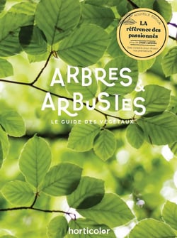 Arbres et arbustes