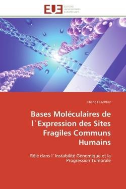 Bases moleculaires de l`expression des sites fragiles communs humains