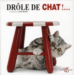 Drole de chat !...
