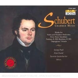 Schubert : Musique De Chambre (Oeuvres Pour Violon & Orch. De Chambre - Trios - Duos - Sonatines...)