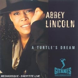 A Turtle's Dream