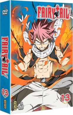 Fairy Tail - Vol. 13