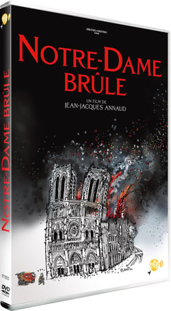 Notre-Dame brûle