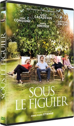 Sous le figuier
