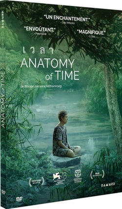 Anatomy of Time