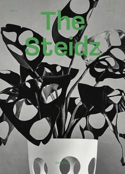 The Steidz n.10