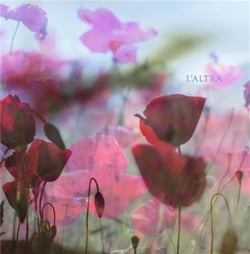 In The Afternoon (2 Vinyls)