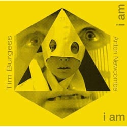 The doors of then - I am yours I am you (Remixed by Anton Newcombe) - Vinyle